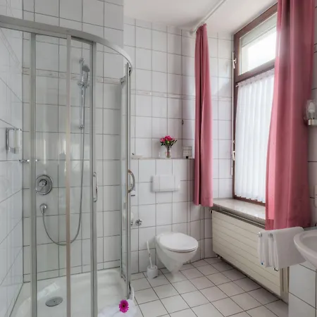 מלון Paulin טרייר